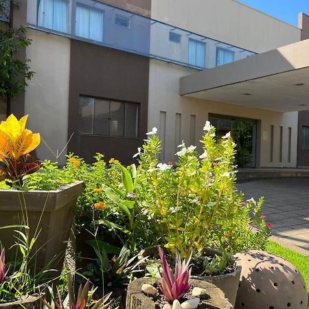 Ji-Paraná Maximus Business Hotel מראה חיצוני תמונה