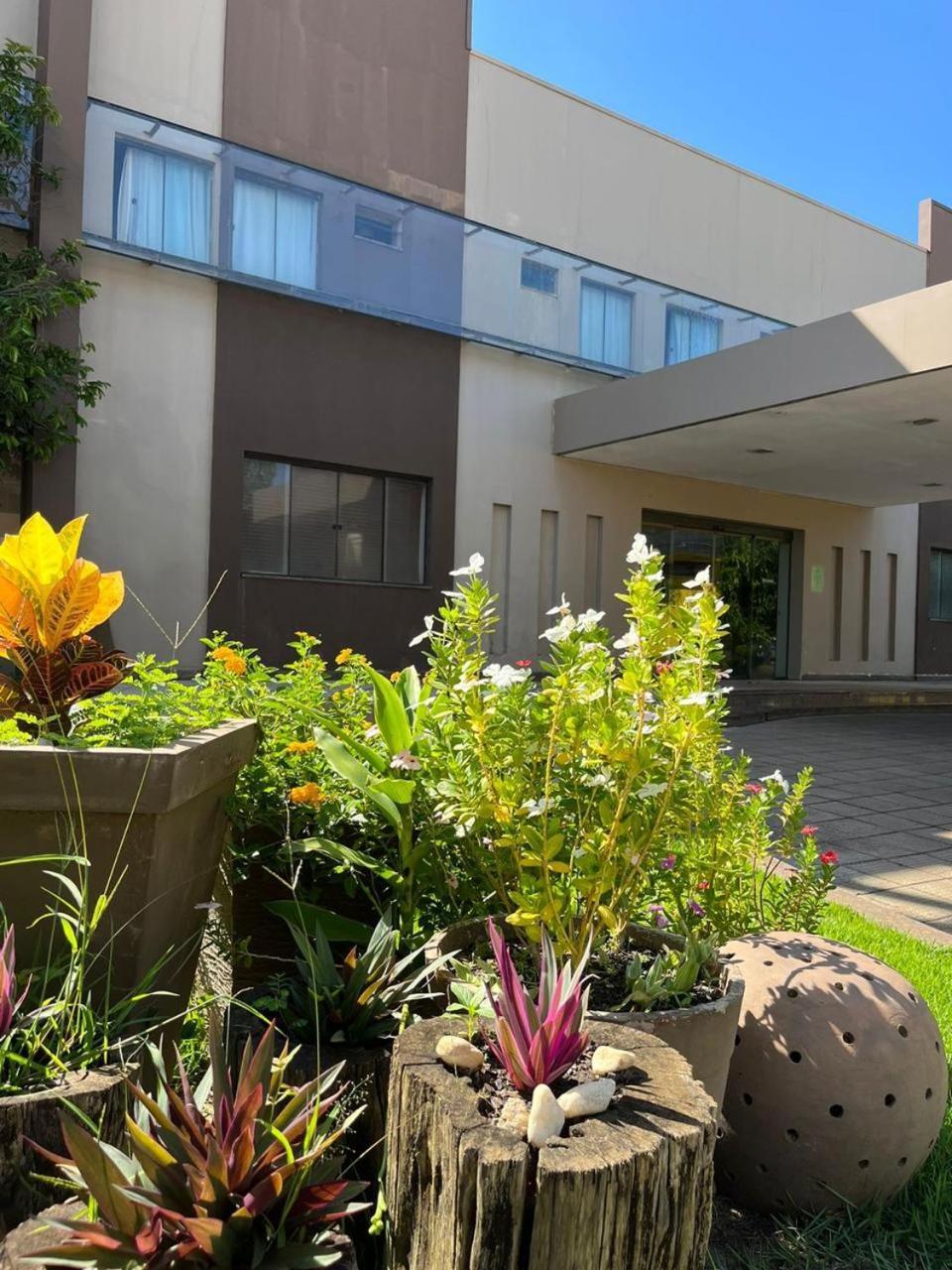 Ji-Paraná Maximus Business Hotel מראה חיצוני תמונה